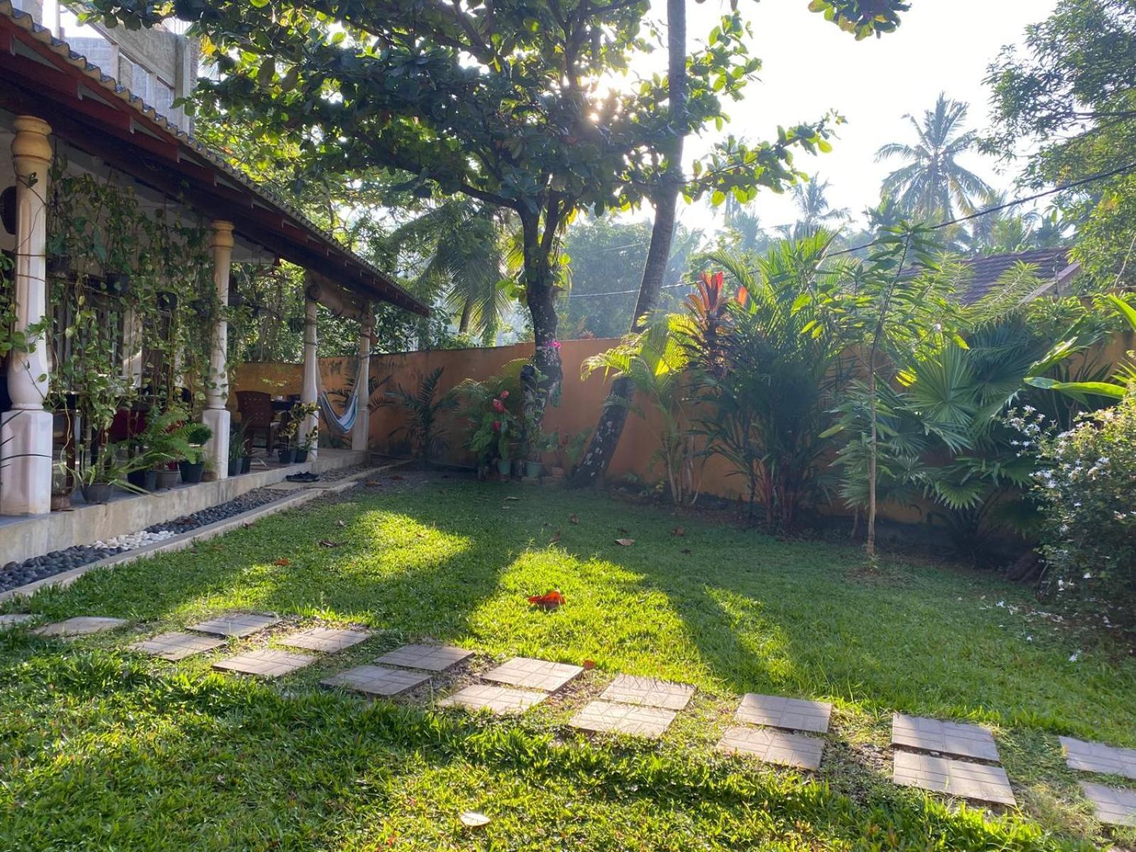 Villa Sun Rising Талпе Экстерьер фото